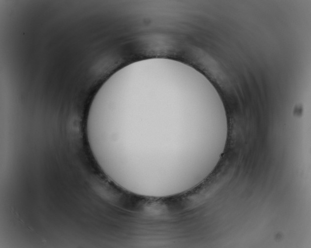 X0000103960258200809261818