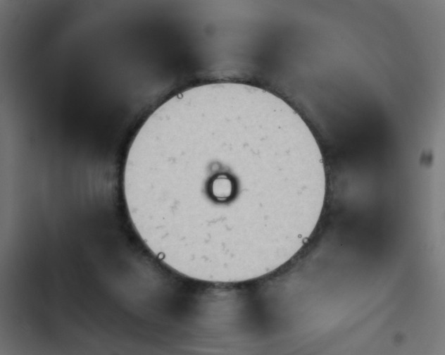 X0000103960260200809261818