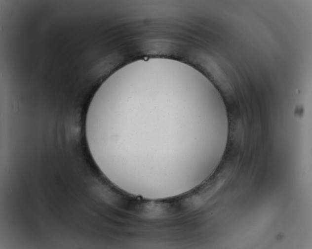 X0000103960261200809261818