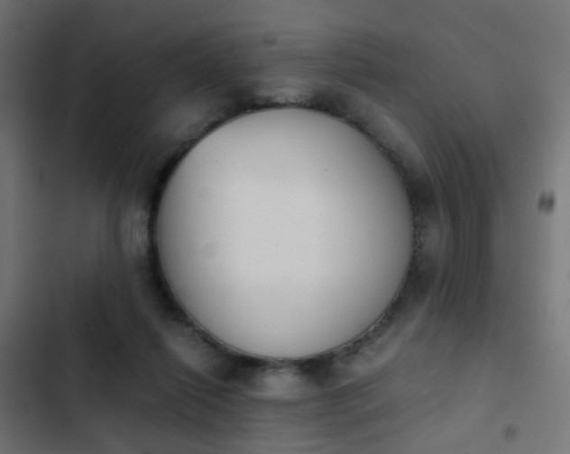 X0000103960262200809261818