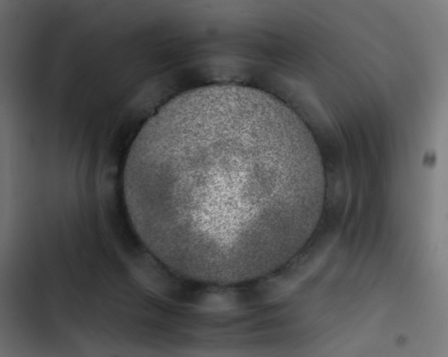X0000103960263200809261818