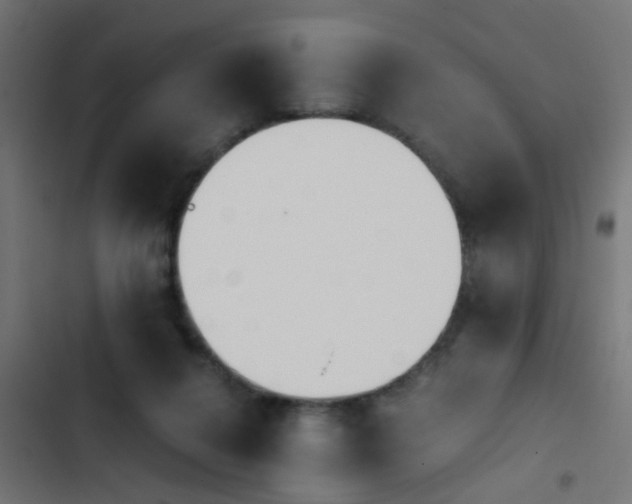 X0000103960264200809261818