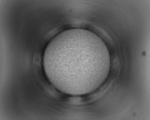 X0000103960266200809261818