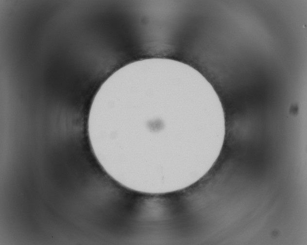 X0000103960268200809261818