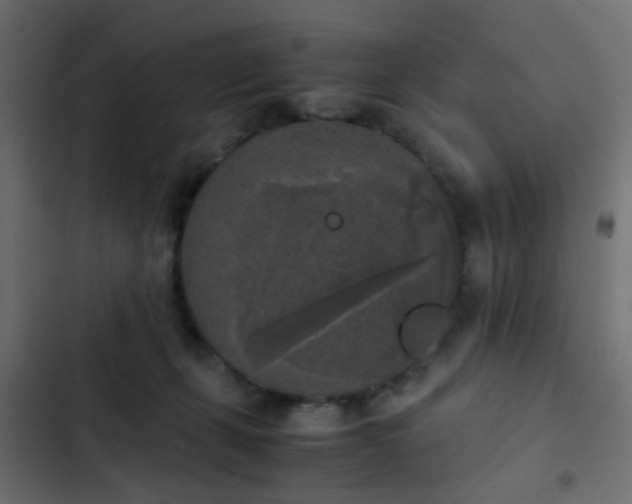 X0000103960271200809261818
