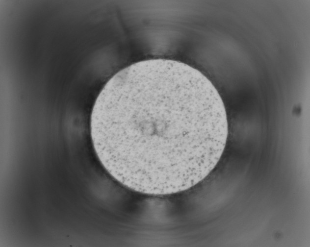 X0000103960272200809261818