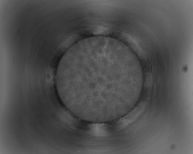 X0000103960273200809261818