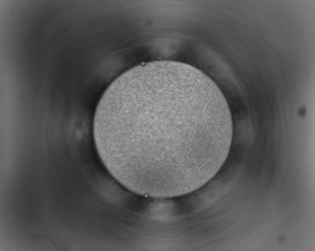 X0000103960274200809261818