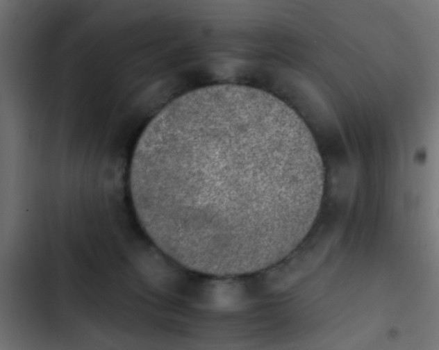X0000103960275200809261818