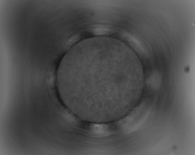 X0000103960277200809261818