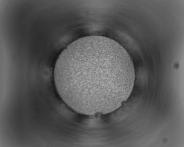 X0000103960278200809261818