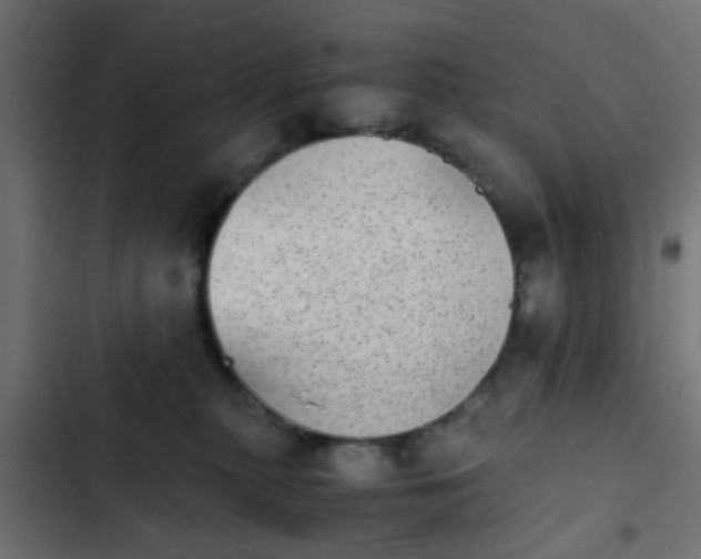 X0000103960279200809261818