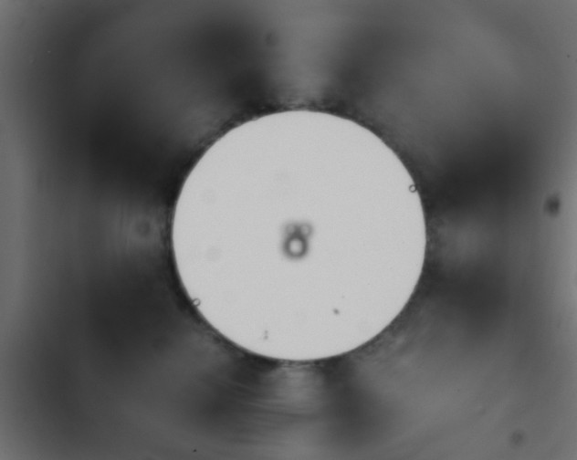 X0000103960280200809261818