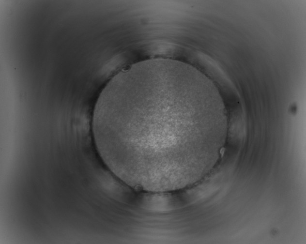 X0000103960282200809261818