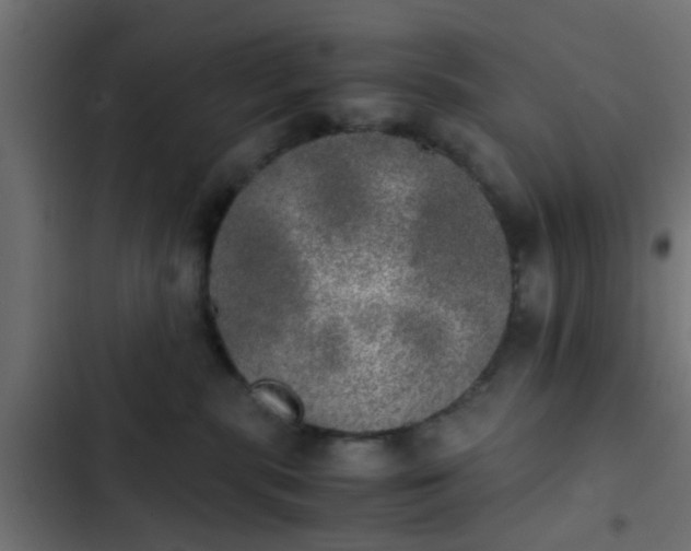 X0000103960283200809261818