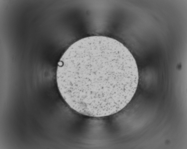 X0000103960284200809261818