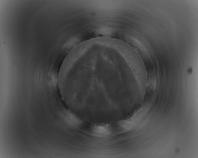 X0000103960285200809261818