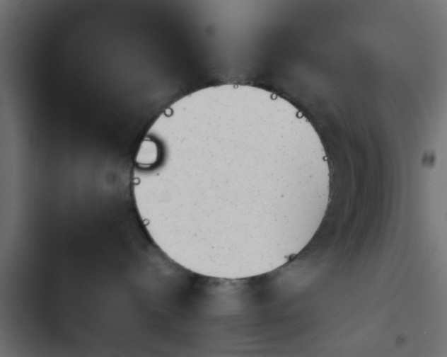 X0000103960288200809261818