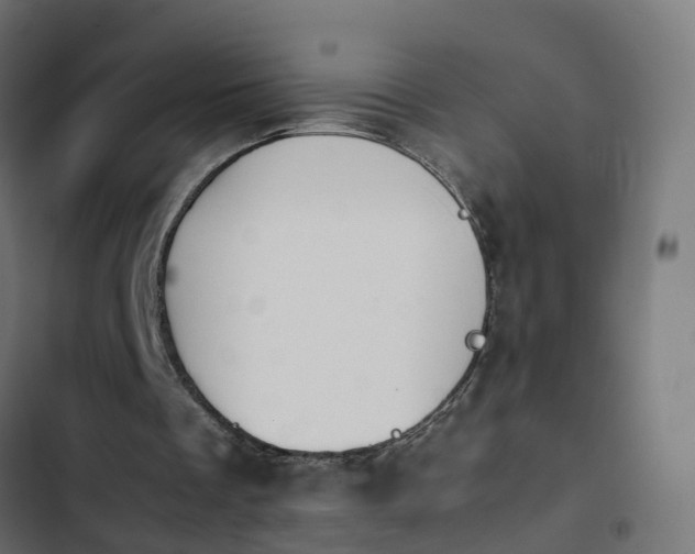 X0000103960289200809261818