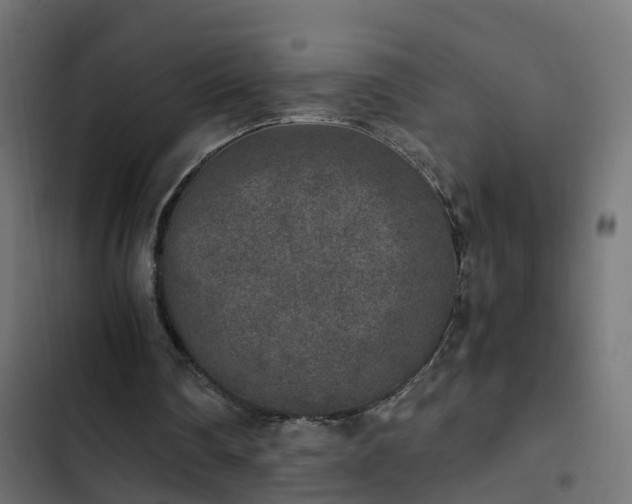 X0000103960290200809261818