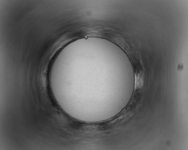 X0000103960291200809261818