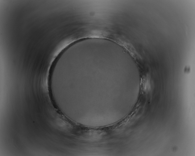X0000103960292200809261818