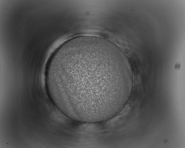 X0000103960294200809261818