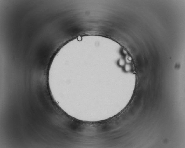 X0000103960297200809261818