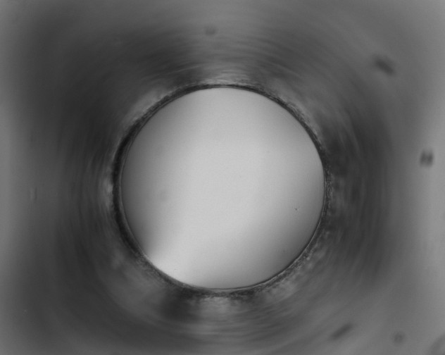 X0000103960298200809261818