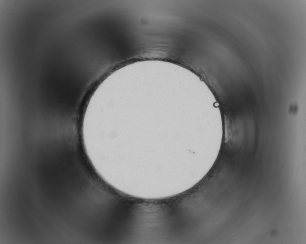 X0000103960300200809261818