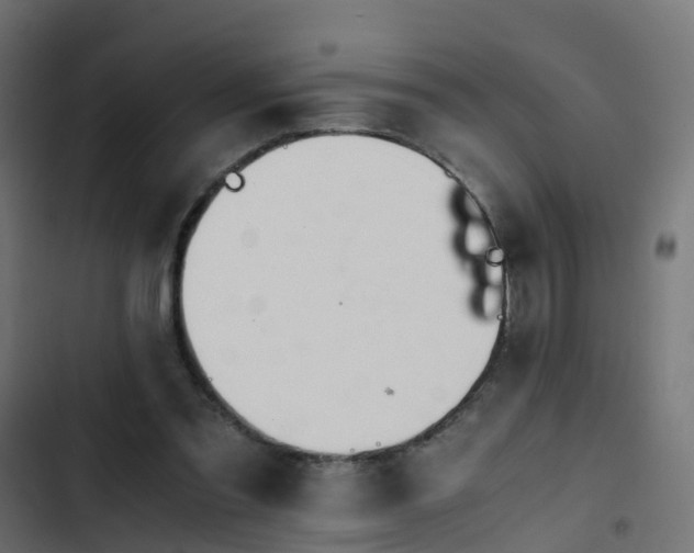 X0000103960301200809261818