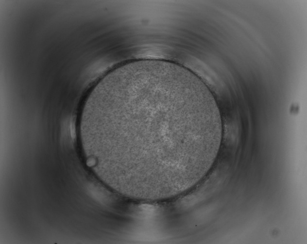 X0000103960302200809261818