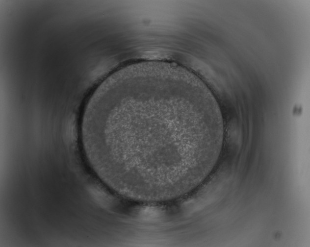 X0000103960303200809261818