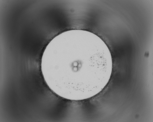 X0000103960305200809261818