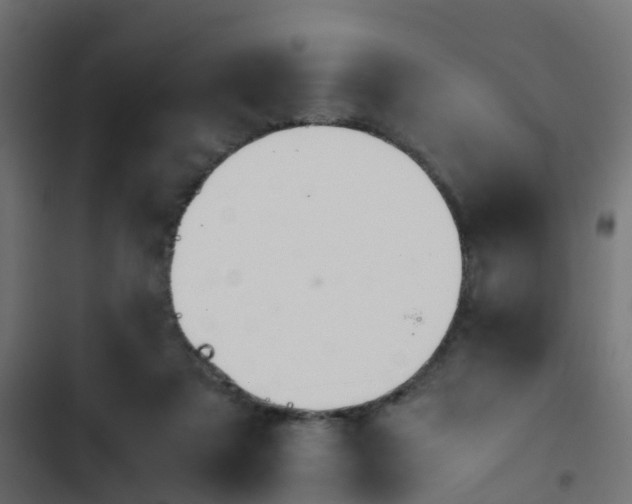 X0000103960307200809261817