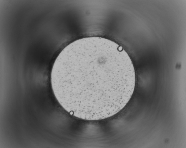 X0000103960308200809261817