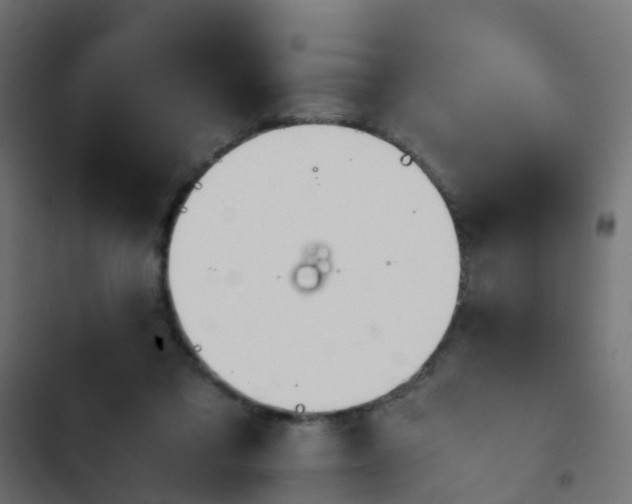 X0000103960309200809261817
