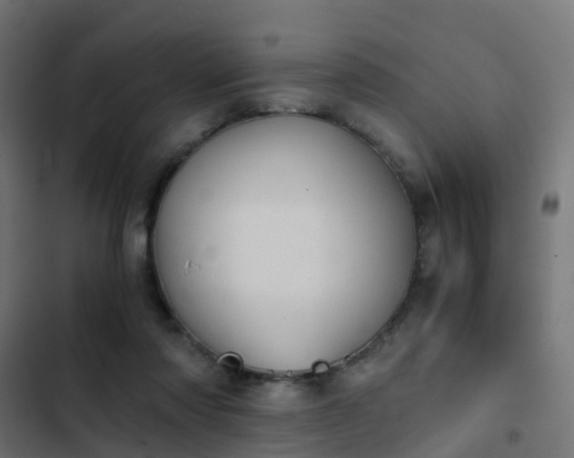 X0000103960310200809261817
