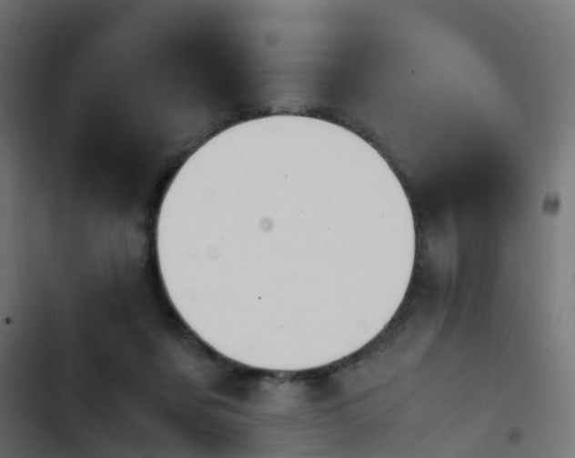 X0000103960311200809261817