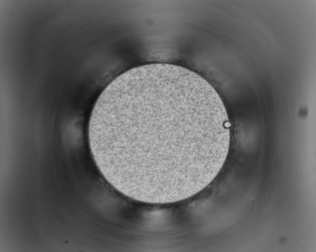 X0000103960312200809261817