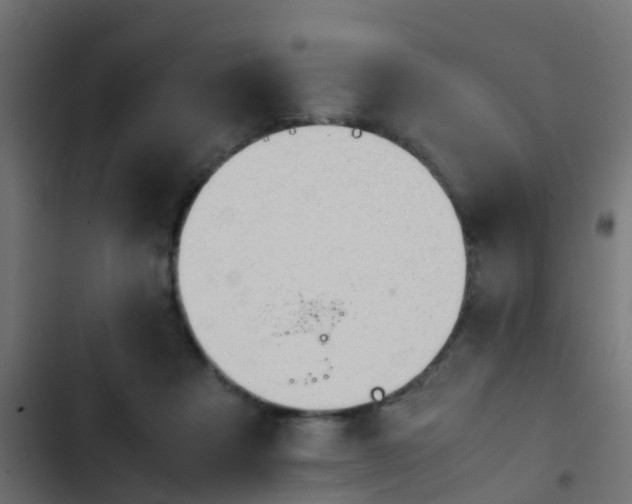 X0000103960313200809261817