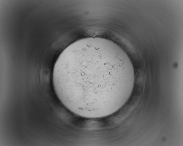 X0000103960315200809261817