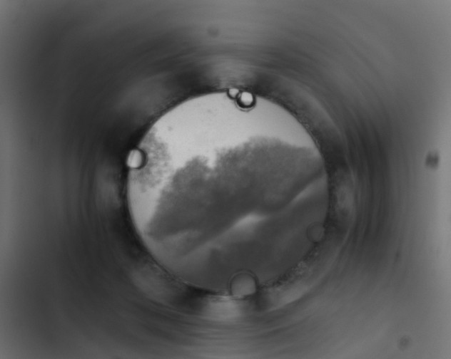 X0000103960316200809261817