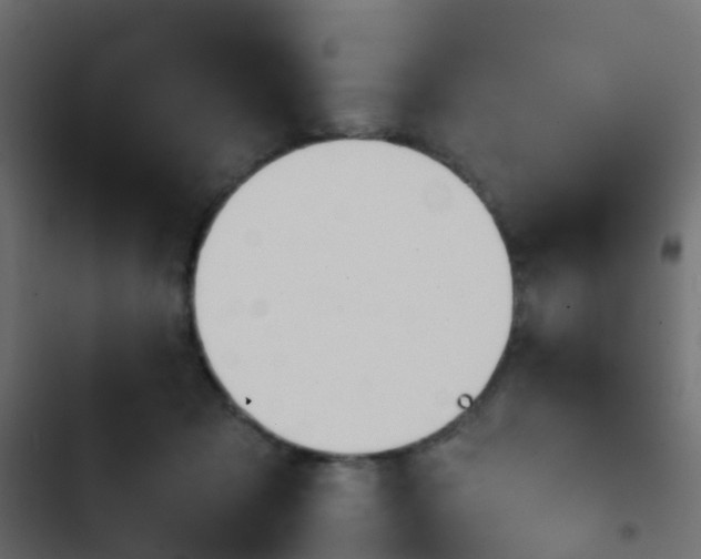 X0000103960317200809261817
