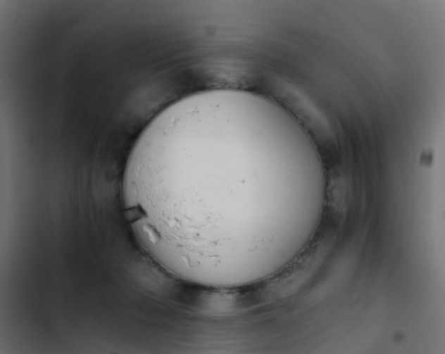 X0000103960318200809261817