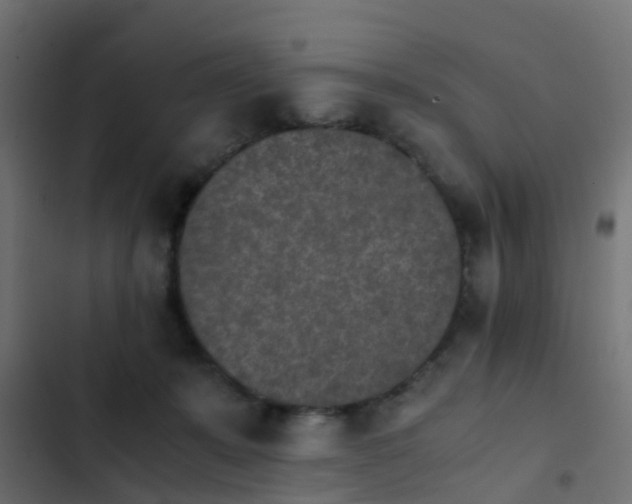X0000103960319200809261817