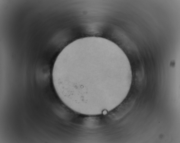 X0000103960320200809261817