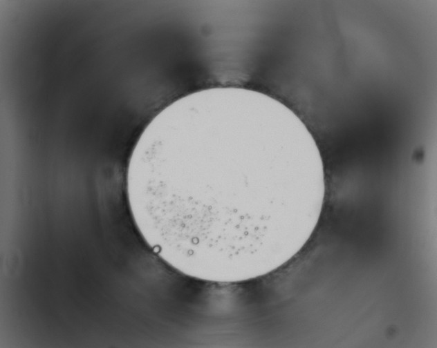 X0000103960321200809261817