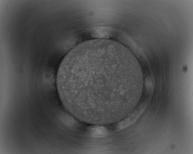 X0000103960322200809261817
