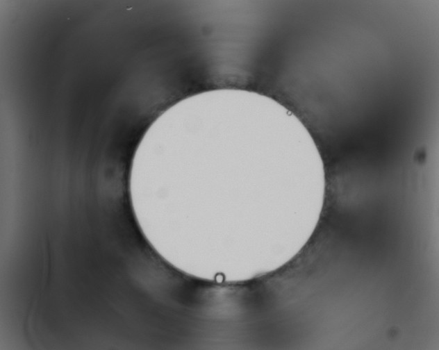X0000103960323200809261817